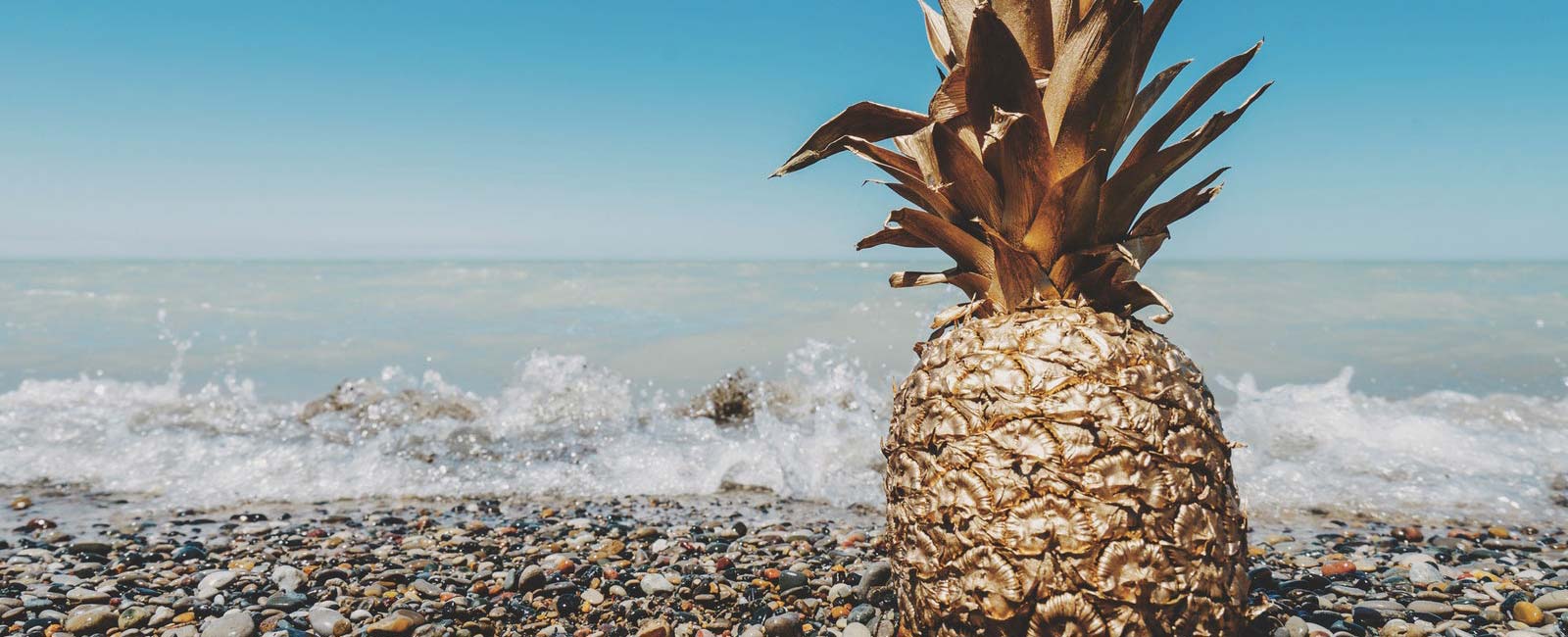 piña en el mar